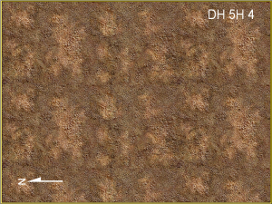 Dwarf Home Level 5h4, 225 x 300